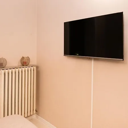 Camelia * Арона