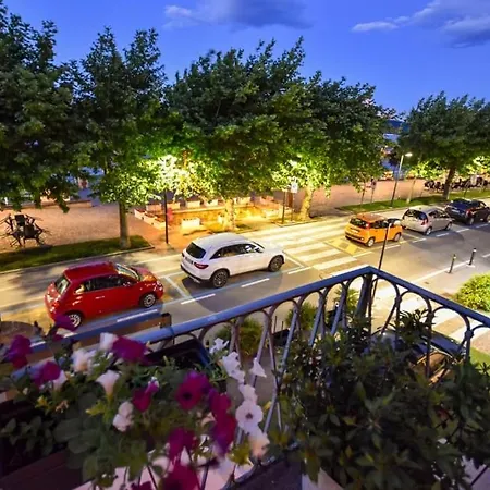 Appartement Camelia *